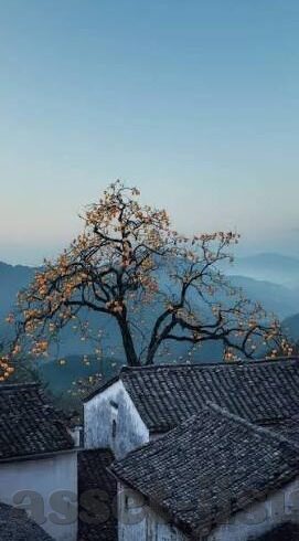 北京足球比分单场-北京足球单场比分，激情与荣耀的瞬间记录