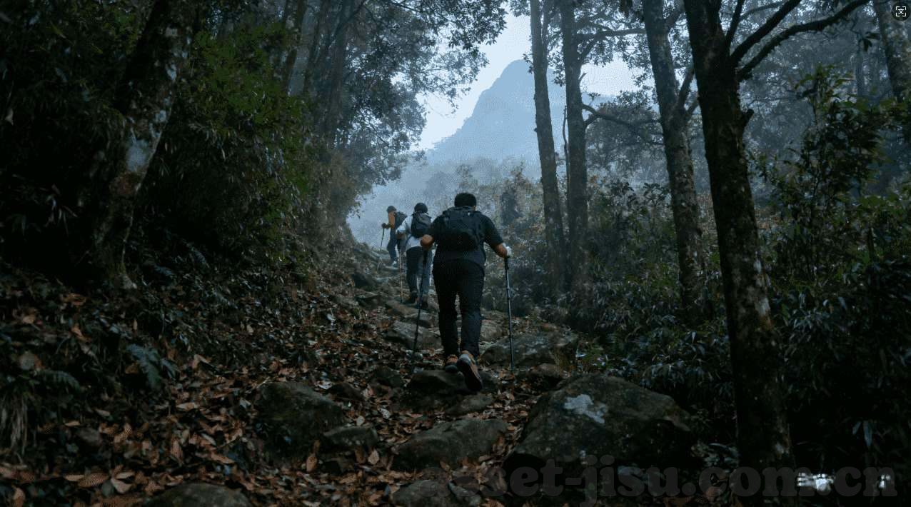 葡萄牙世界杯赔率-葡萄牙世界杯赔率的奥秘，一场足球盛宴中的数字游戏